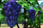 Final Fantasy 16 risponde alla domanda più importante: ci sarà l'uva? - Notizia
