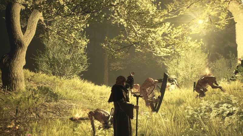 Dragons Dogma 2 17 Dragons Dogma 2 17