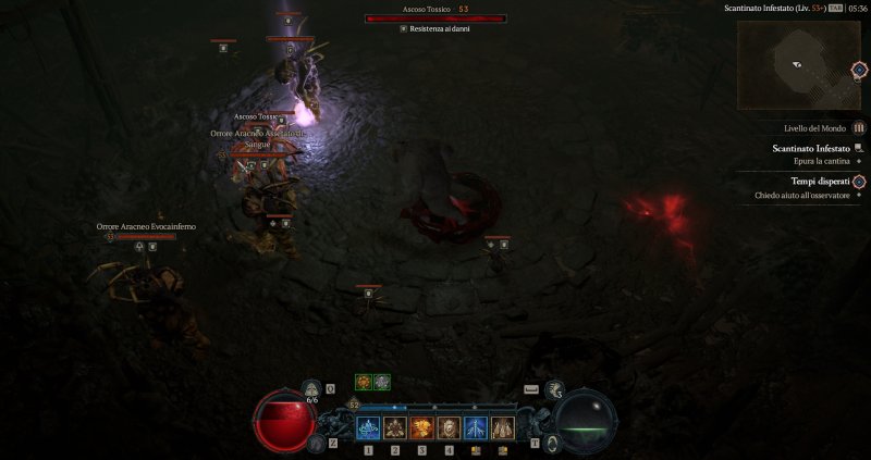 Il Druido può combattere con la magia ma può anche tramutarsi in un orso o in un lupo mannaro Il Druido può combattere con la magia ma può anche tramutarsi in un orso o in un lupo mannaro