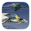 Jet Dragon per iPhone