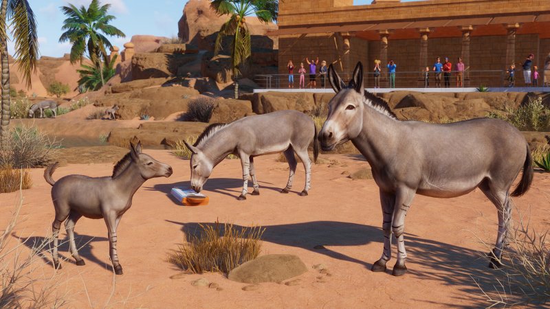 Gli animali di Planet Zoo: Arid Animal Pack sono riprodotti in modo eccellente, come sempre
