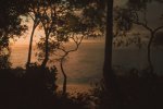 Lushfoil Photography Sim: annunciato un gioco di fotografia in Unreal Engine 5 e alta fedeltà visiva - Notizia