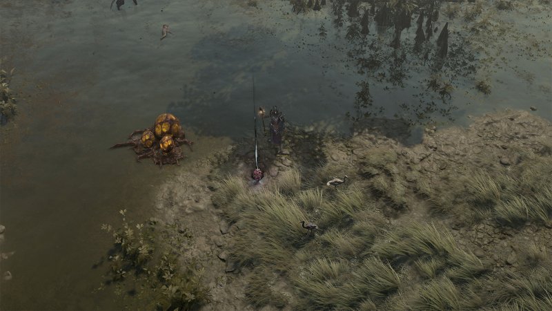 I Cuori Abietti sono 32, divisi in quattro categorie I Cuori Abietti sono 32, divisi in quattro categorie