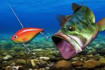 SEGA Bass Fishing disponibile gratis su Steam, ecco come ottenerlo - Notizia
