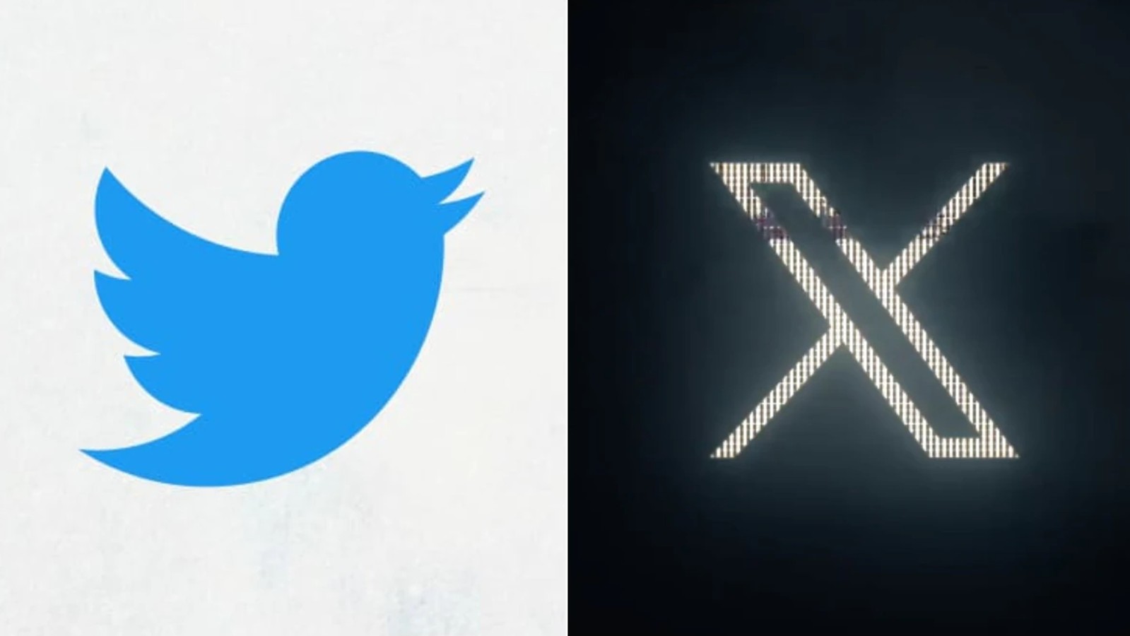 Twitter: il nuovo logo di X ora è attivo, addio all'iconico uccellino blu