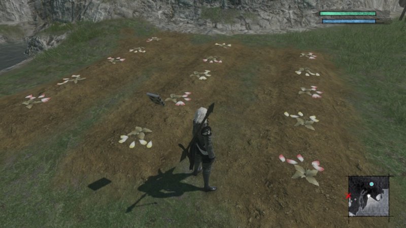 Probabilmente è più facile creare una nuova specie di fiori nel mondo reale