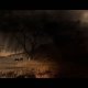 Way of the Hunter | Tikamoon Plains DLC Release Trailer