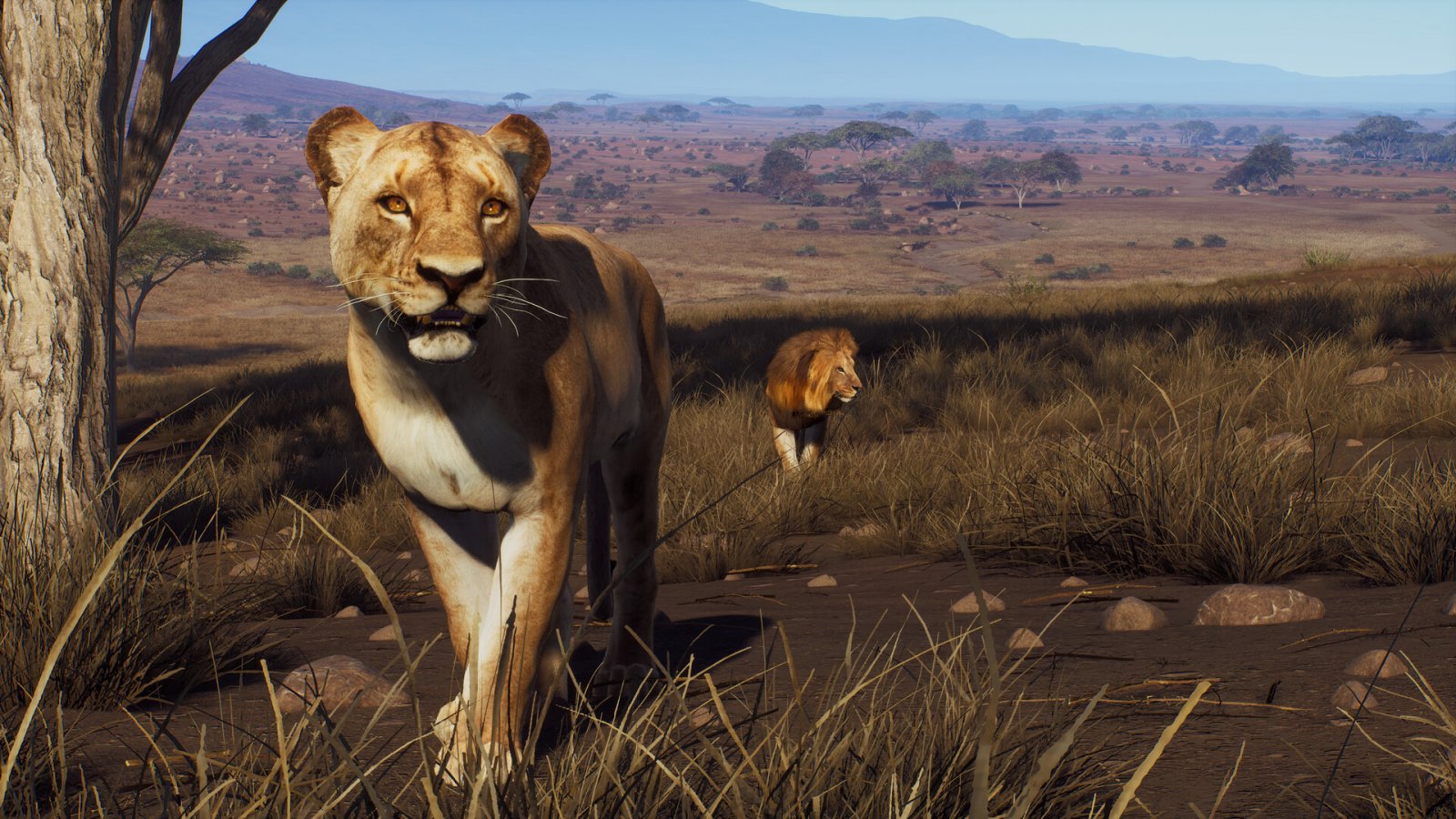 Way of the Hunter: il trailer del DLC Tikamoon Plains dedicato alla savana, ora disponibile