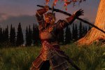 The Elder Scrolls Online, il cosplay del Khajit da celk4e ha un'armatura incredibile - Notizia