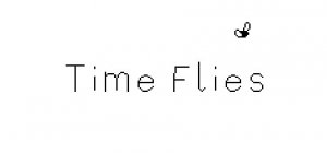 Time Flies per PC Windows