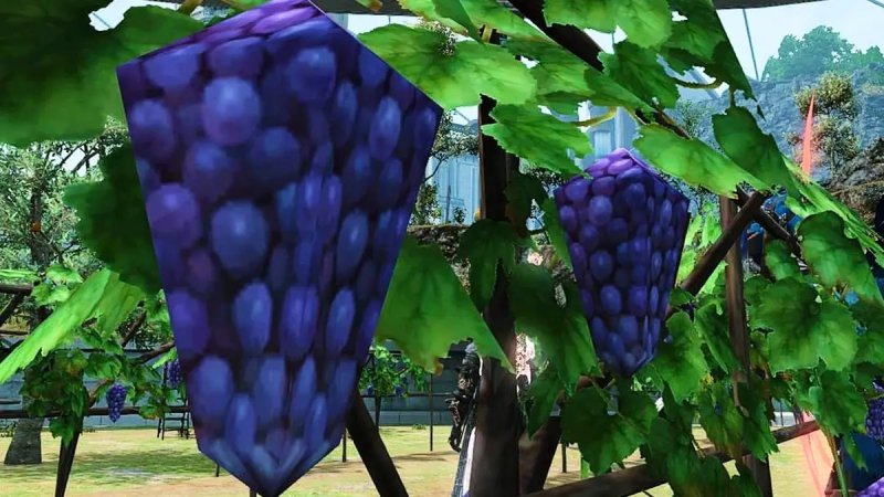Ffxiv Endwalker Grapes Ffxiv Endwalker Grapes