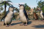 Planet Zoo: Oceania Pack disponibile con trailer e aggiornamento maggiore 1.15 - Notizia