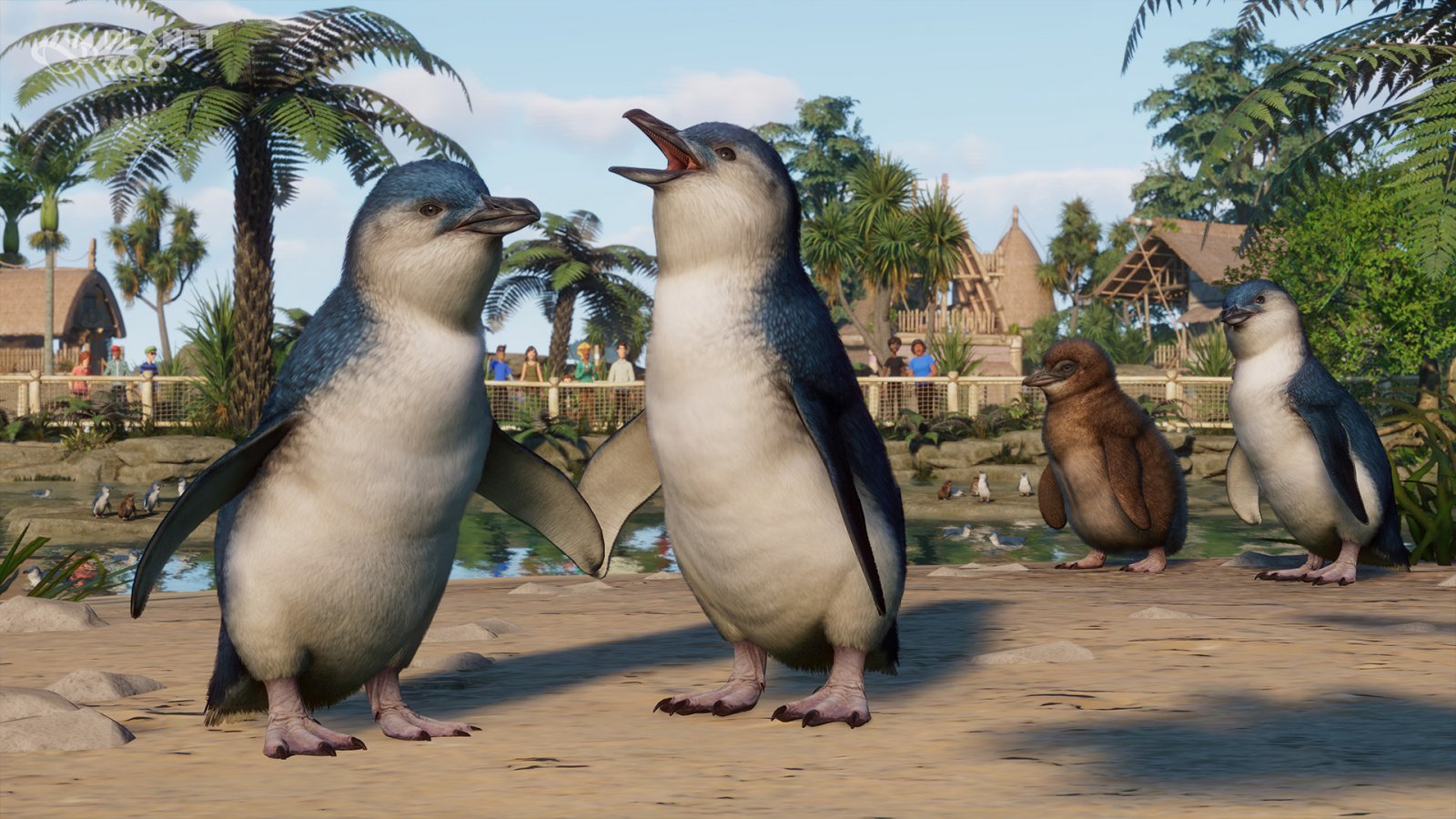 Planet Zoo: Oceania Pack disponibile con trailer e aggiornamento maggiore 1.15