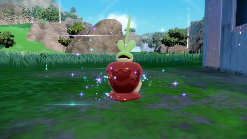 La maschera turchese