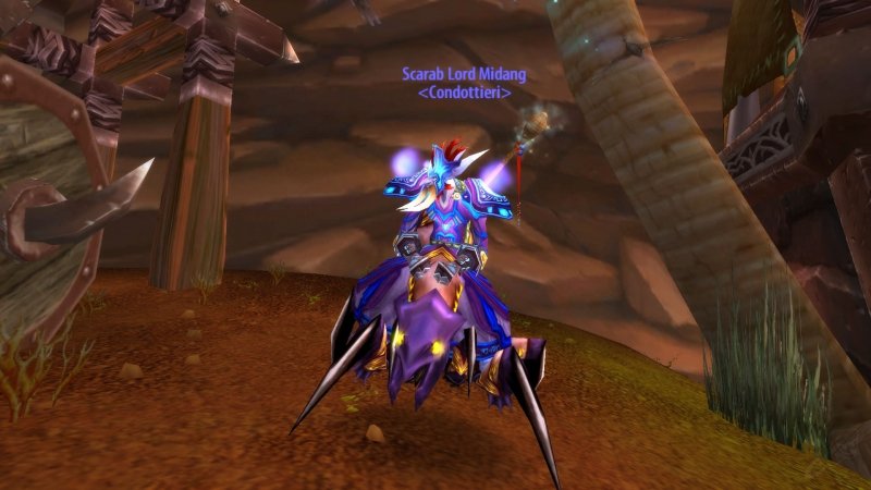 Dans la version originale de World of Warcraft, un seul joueur par serveur pouvait devenir un seigneur scarabée