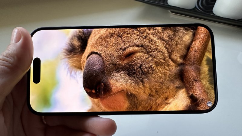 iPhone 15 Pro ha un display invariato rispetto al suo predecessore