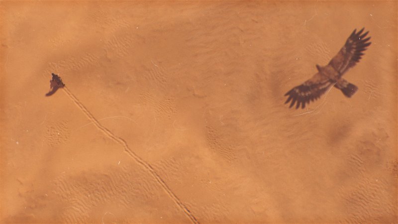 Assassin's Creed Mirage: Enkidu, il vostro occhio impossibile