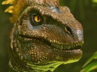 ARK: Survival Ascended tante recensioni negative su Steam per il framerate, ma primo in classifica