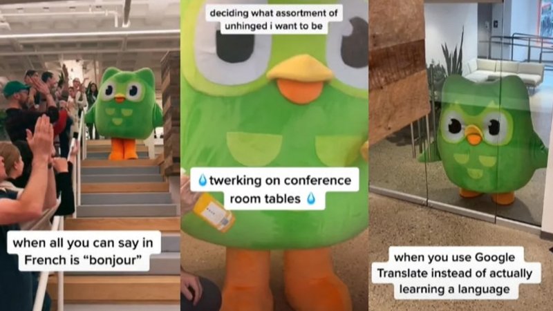 Protagonista di numerosi meme online, la mascotte Duo è ovviamente diventata una star del profilo TikTok di Duolingo Protagonista di numerosi meme online, la mascotte Duo è ovviamente diventata una star del profilo TikTok di Duolingo