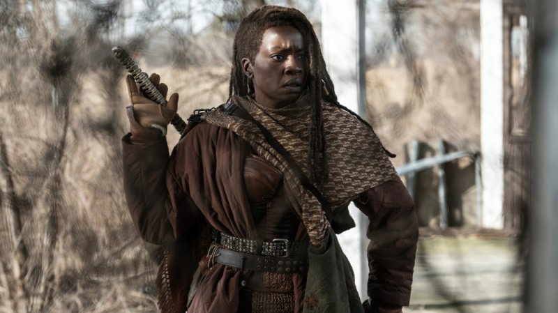 Michonne in The Walking Dead
