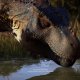 Jurassic World Evolution 2: Cretaceous Predator Pack - Trailer di annuncio
