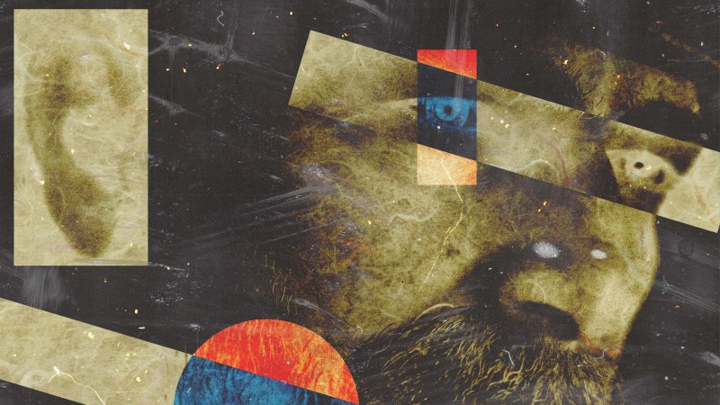 Red Dead Redemption 2: quali altre colonne sonore dopo quella del gioco Rockstar?