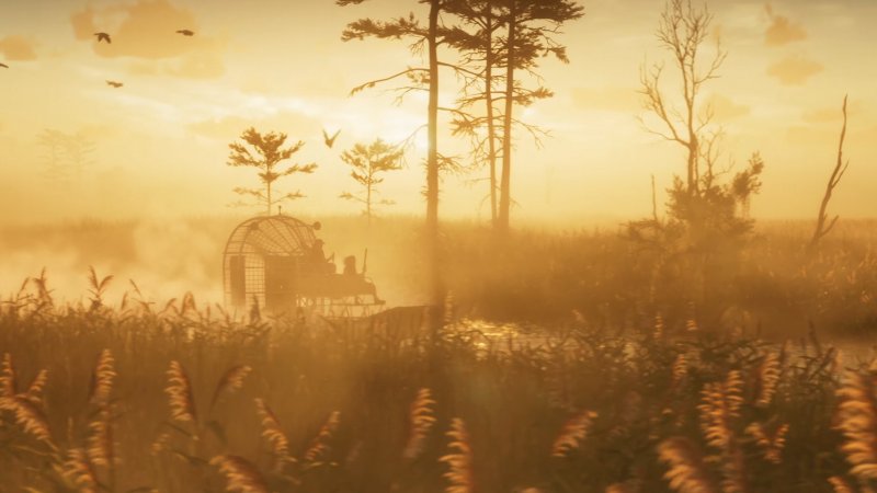 Non mancheranno escursioni nei dintorni della città