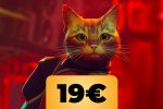 Stray per PS5 in formato fisico con contenuti bonus finalmente in sconto su Amazon - Notizia