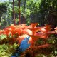Avatar: Frontiers of Pandora - Trailer con i riconoscimenti della stampa