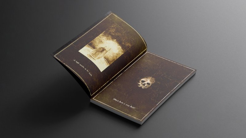 I due volumi di Vermis sono guide ufficiali per un videogioco che non esiste: l'operazione di Plastiboo fa riflettere sull'evoluzione nella fruizione delle guide videoludiche, sempre più spostata verso il digitale, con una progressiva diminuzione di rilevanza del formato cartaceo