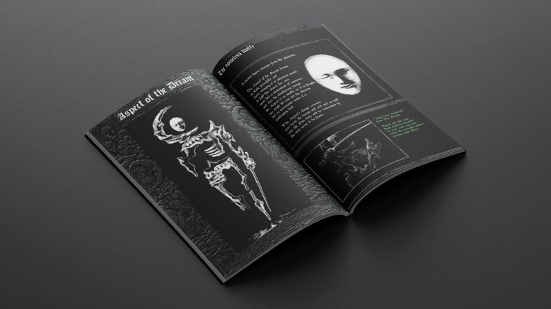 Vermis ha tanto da dire sia ai videogiocatori appassionati di dark fantasy, sia ai lettori che non hanno mai affrontato un videogioco, risultando capace di stimolare l'immaginazione e la curiosità di tutti