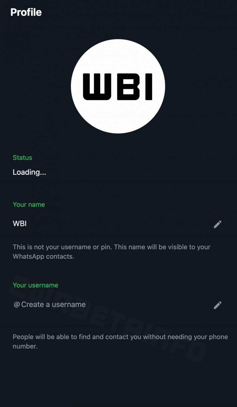 Lo screenshot di WABetainfo relativo alla nuova funzione di selezione dello username