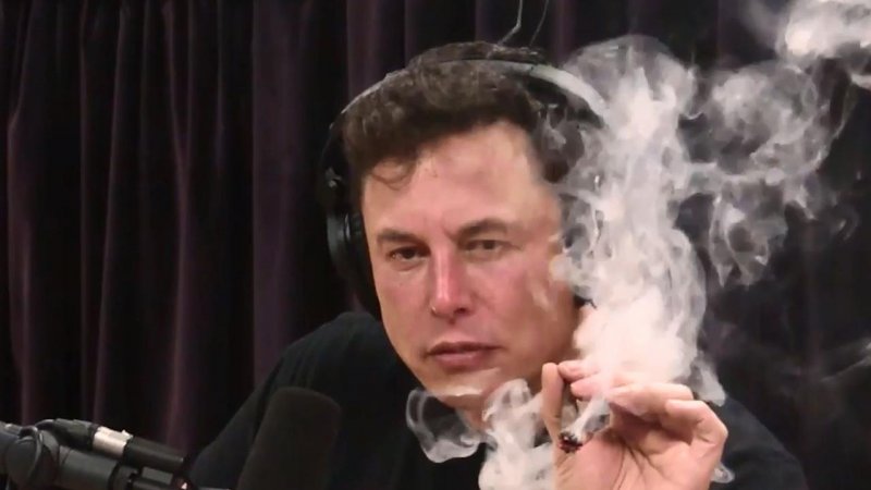 Le testimonianze spaziano da 'diverse compresse' assunte durante un evento a Los Angeles nel 2018, fino ad apparizioni alterate e incomprensibili al quartier generale di SpaceX, al suono di dubbi slogan goliardici Le testimonianze spaziano da 'diverse compresse' assunte durante un evento a Los Angeles nel 2018, fino ad apparizioni alterate e incomprensibili al quartier generale di SpaceX, al suono di dubbi slogan goliardici