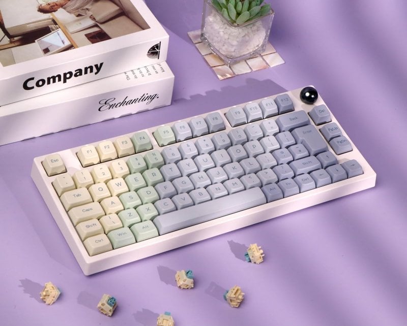 EPOMAKER TH80 Pro versione Monet TH80 ISO