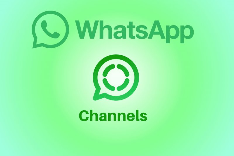 WhatsApp sta dedicando molti degli aggiornamenti allo sviluppo dei Canali, dimostrando un'attenzione verso questa feature della sua piattaforma