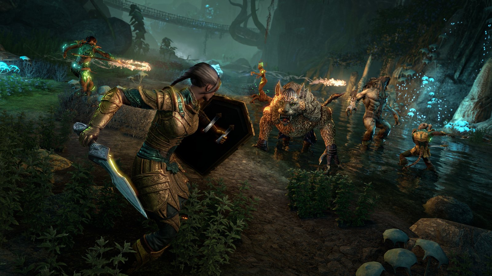 The Elder Scrolls Online