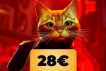 Stray per PS4/PS5 con contenuti da collezione in sconto su Amazon Italia - Notizia