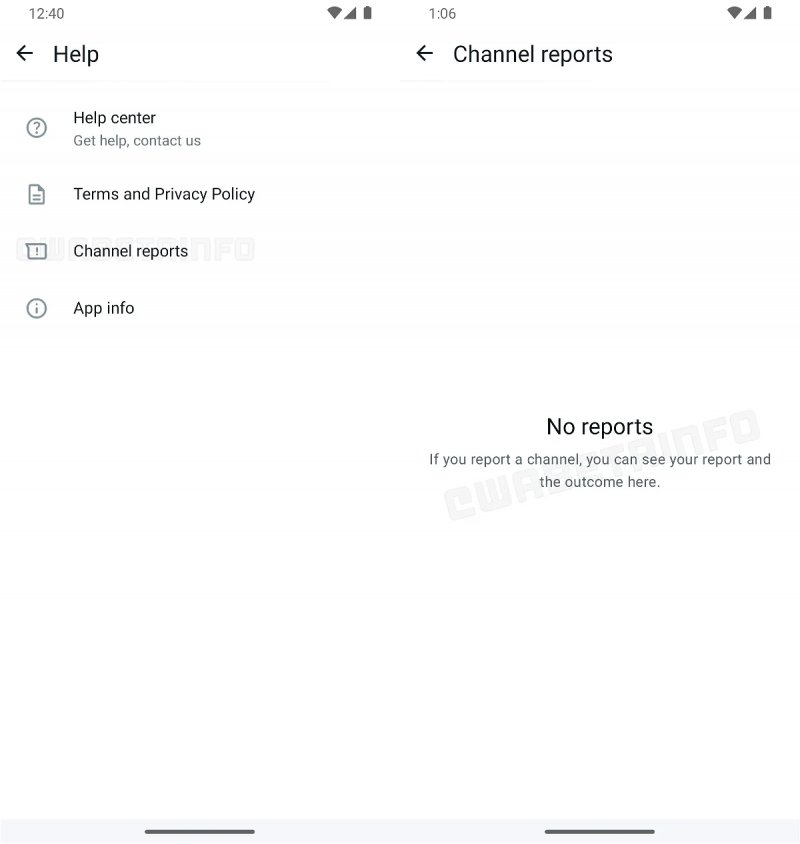 I report visualizzati in un'anteprima nella beta
