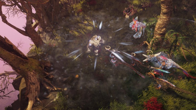 Il Druid è una specializzazione del Primalist che permette di mutare forma Il Druid è una specializzazione del Primalist che permette di mutare forma