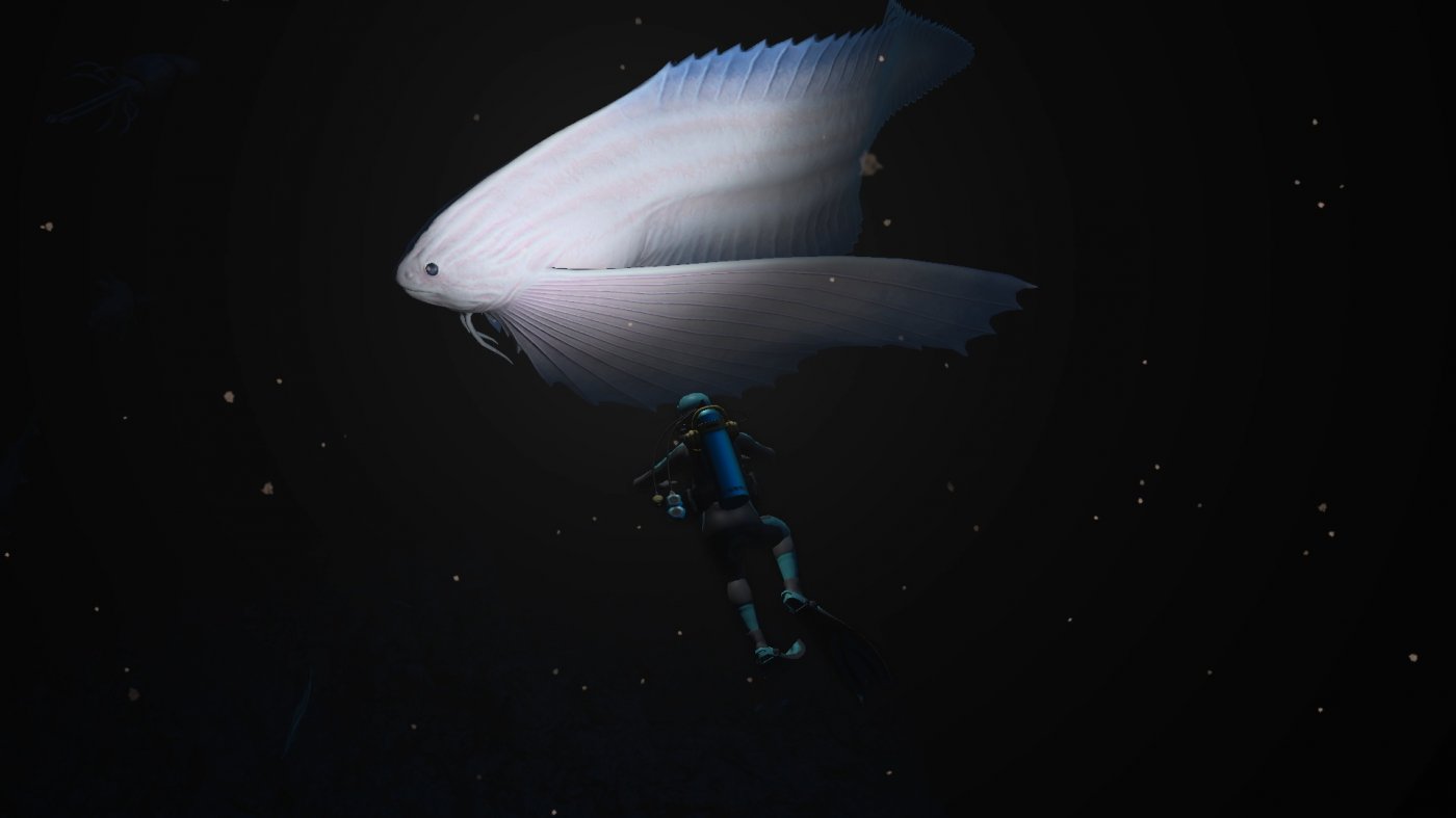 I momenti più emozionanti che Endless Ocean Luminous sa regalare sono legati all'esplorazione degli abissi
