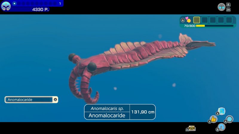 La maggior parte delle specie presenti in Endless Ocean Luminous sono prese dal mondo reale, ma non mancano creature bizzarre e mostri marini preistorici