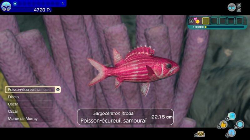 Endless Ocean Luminous è quasi un gioco documentaristico