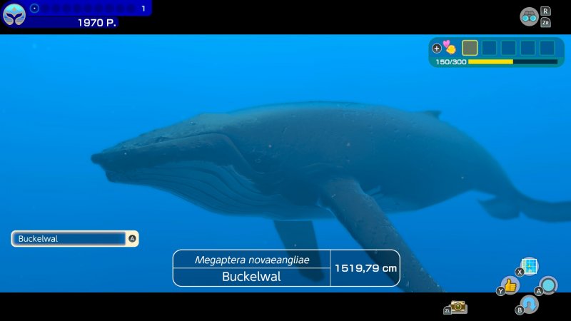 Endless Ocean Luminous