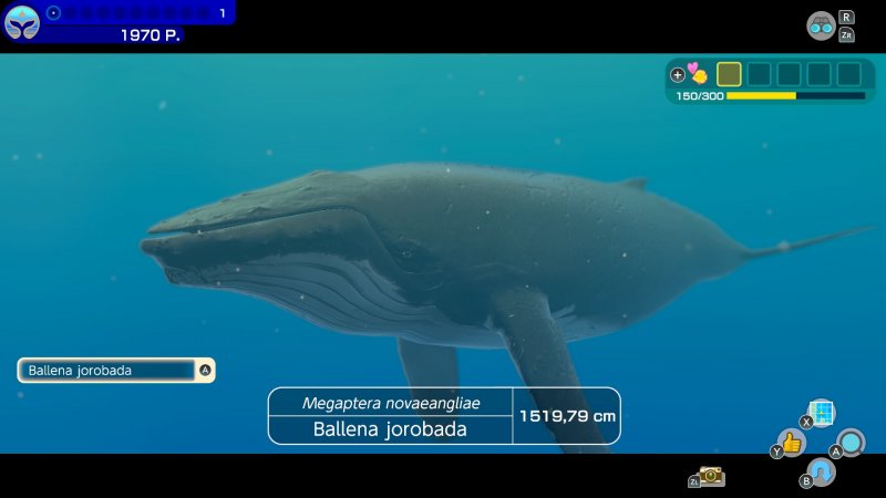 Endless Ocean Luminous