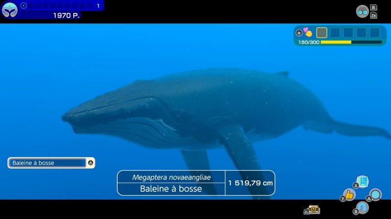 Endless Ocean Luminous