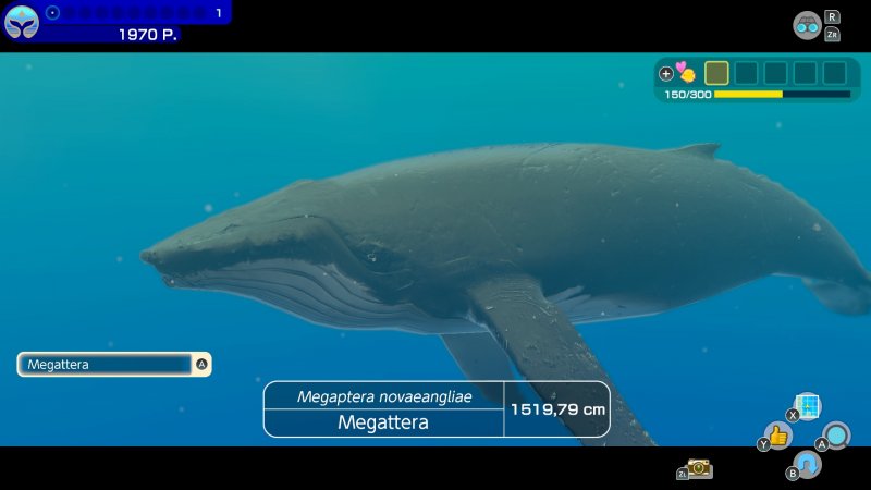 Endless Ocean Luminous