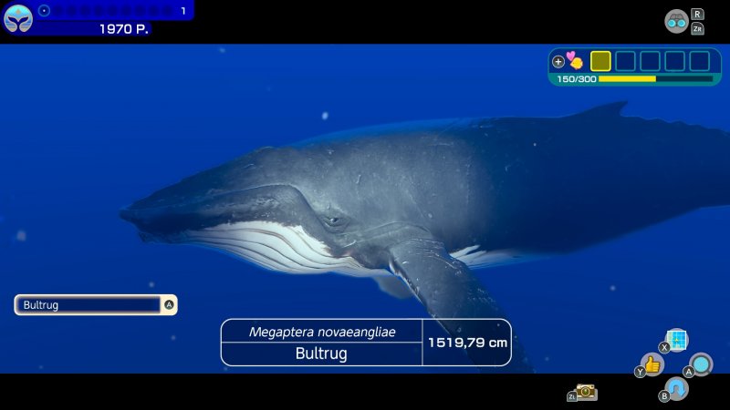 Endless Ocean Luminous