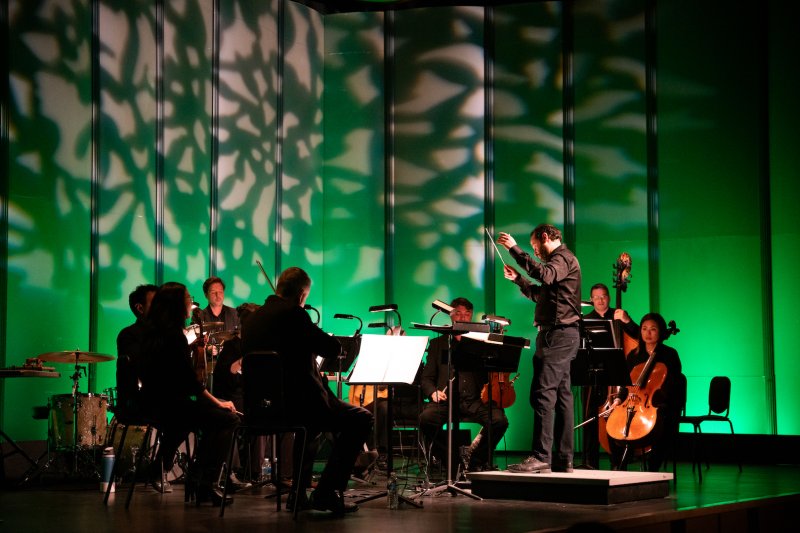 Un momento del concerto di Stardew Valley