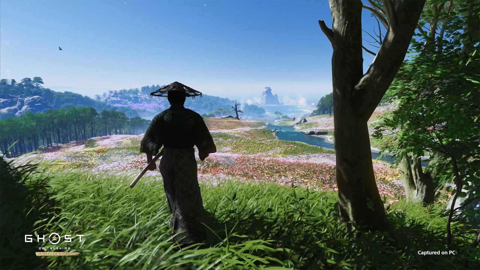 Il protagonista di Ghost of Tsushima ammira un panorama tipicamente giapponese