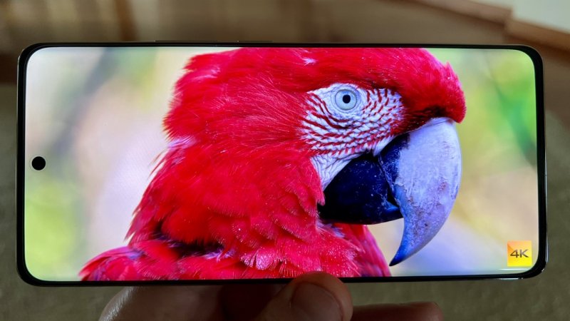 Il display di Realme 12 Pro+ è praticamente lo stesso dello scorso anno: non proprio il top della categoria Il display di Realme 12 Pro+ è praticamente lo stesso dello scorso anno: non proprio il top della categoria